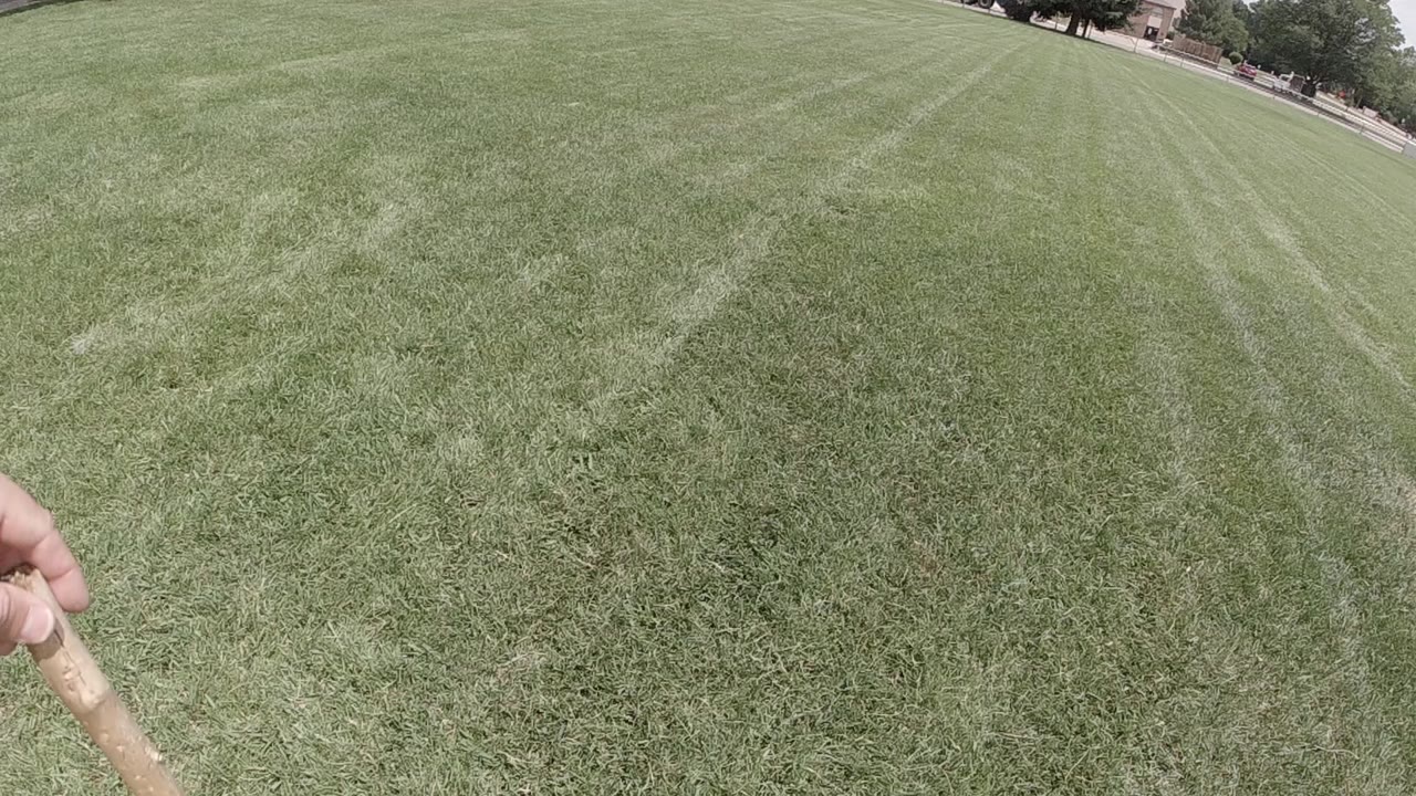 Hand holding a small stick over a mowed grassy field.