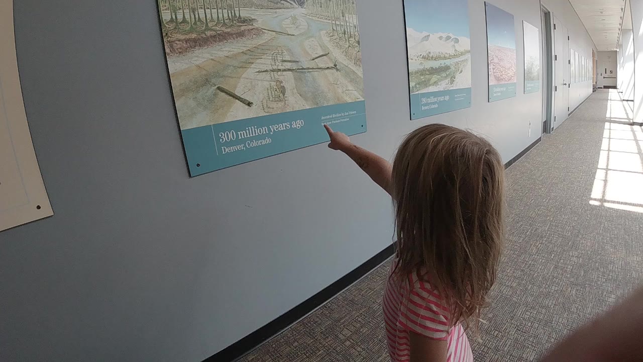 In Denver, a young blonde girl in a pink striped shirt points at a wall-mounted museum display while standing near the left wall of a carpeted hallway.