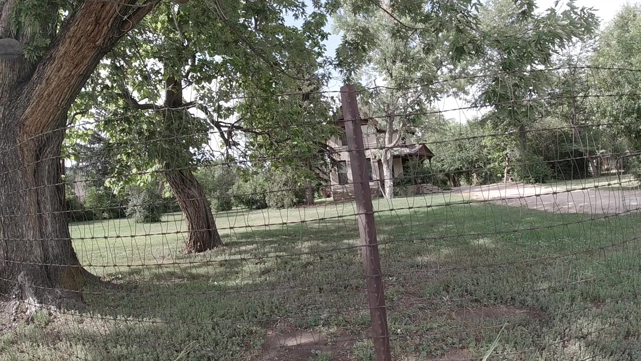 Tree trunks, wire fence, grass, and distant house