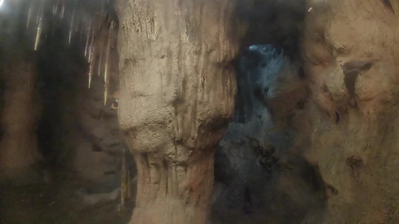 Rocky indoor cave display with dark background and soft highlights.