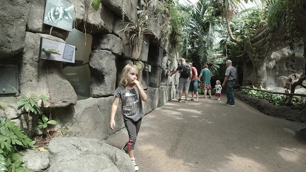 Young girl walking on a zoo path beside rock walls and plants.