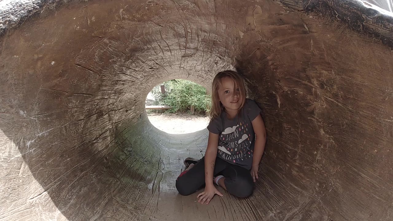 At 0:01, the girl remains seated inside the hollow trunk, with her hand on the wood floor and the bright round exit centered behind her.