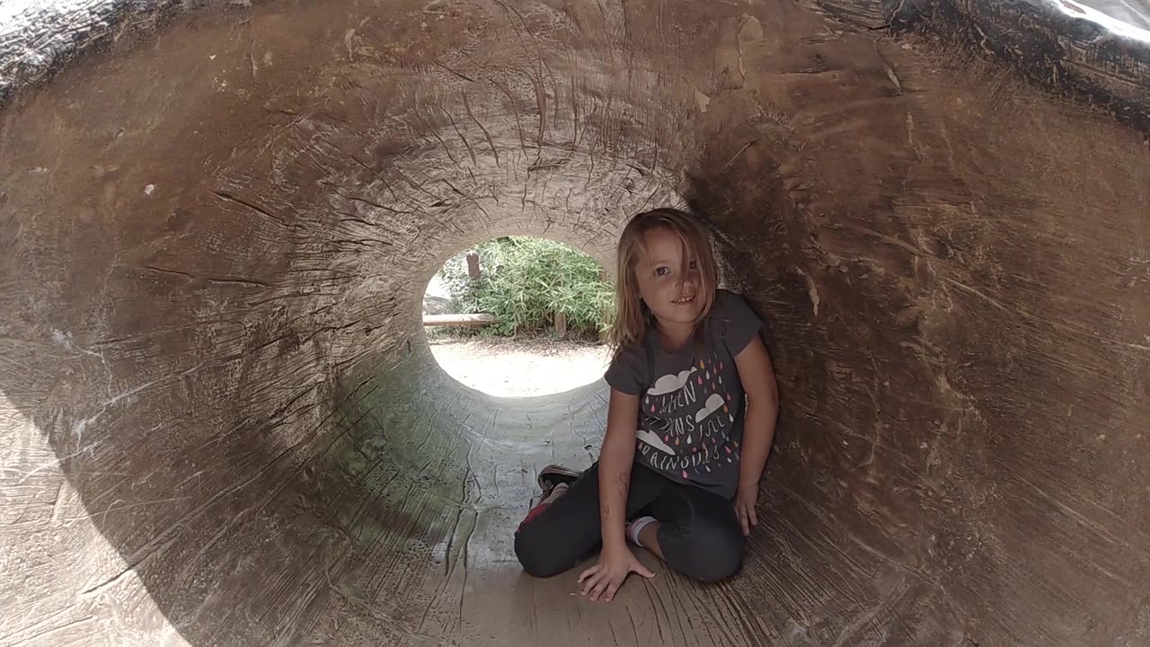 At 0:02, the child sits upright in the right half of the trunk, framed by curved brown wood and a sunlit opening to the outside.