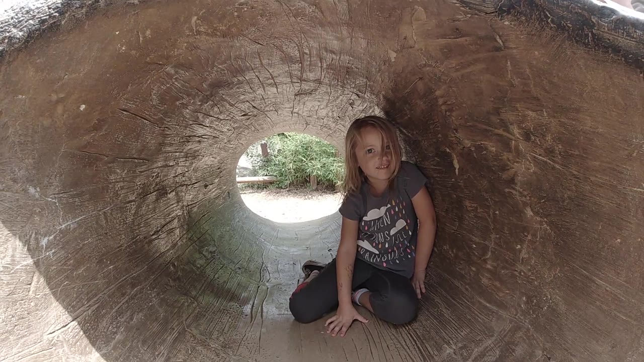 Blonde child in dark clothes sitting inside a tree trunk.