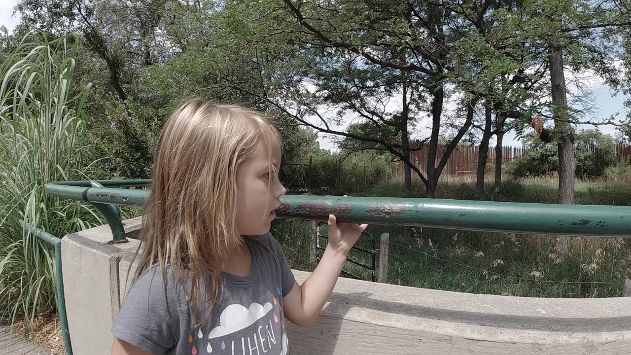 Blonde child looks past a green rail toward a leafy enclosure.