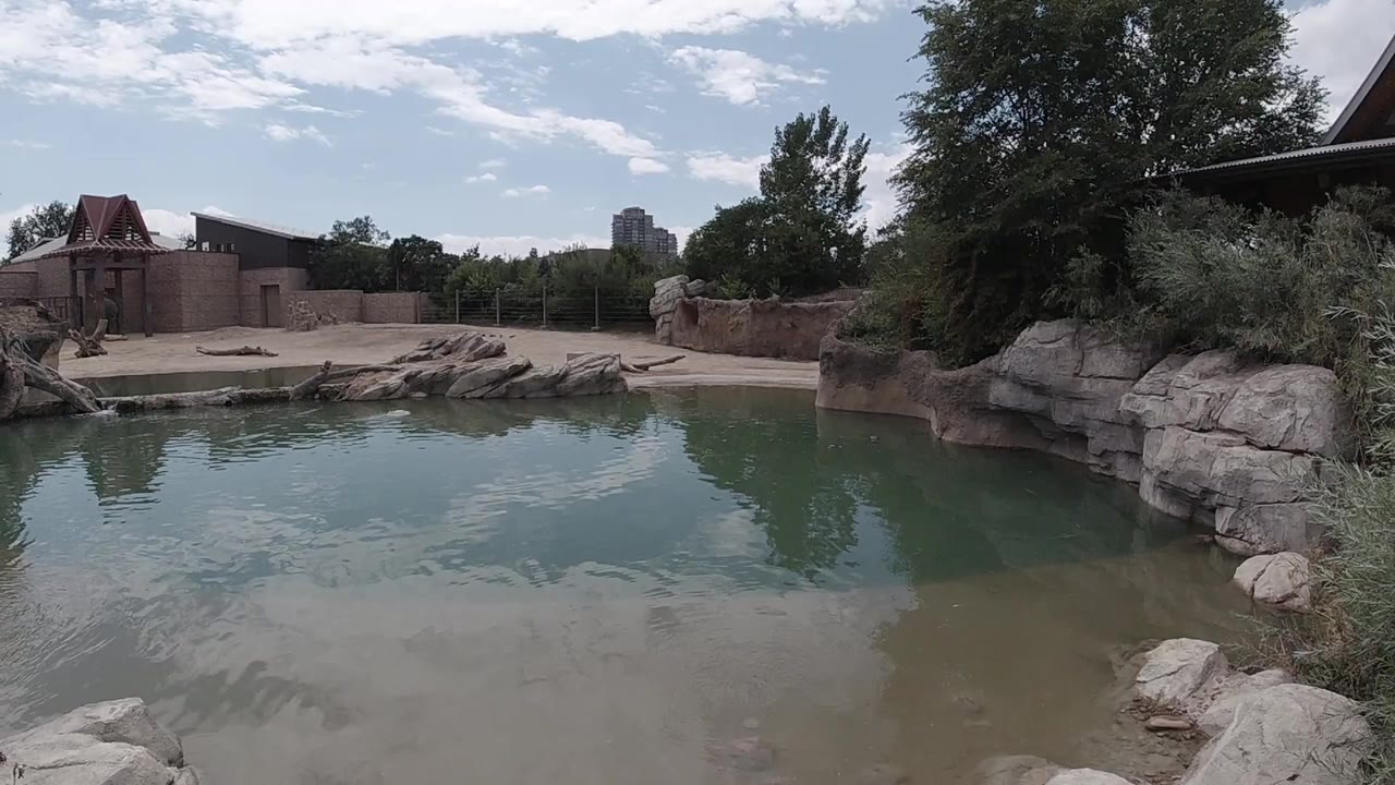 Opening Denver frame looking across a green-blue backyard pond toward rocks, trees, fencing, and a small play structure, with no visible people.