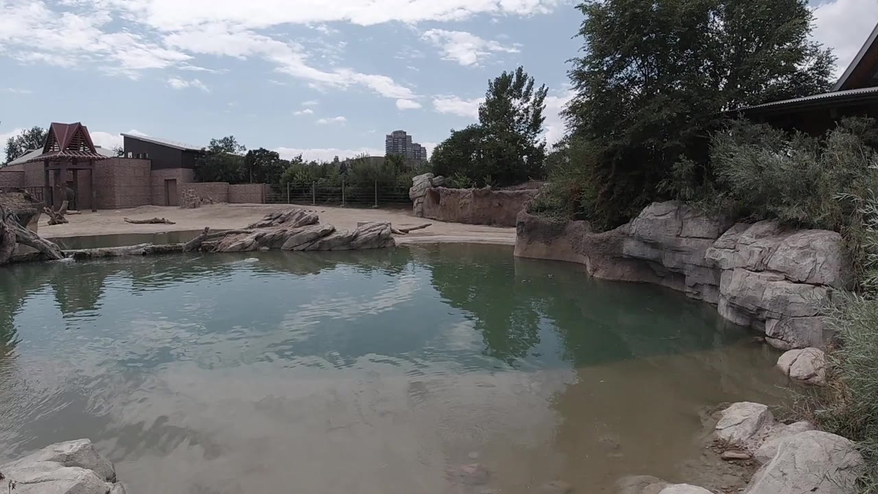 Pond surface with rocky bank and fenced play area