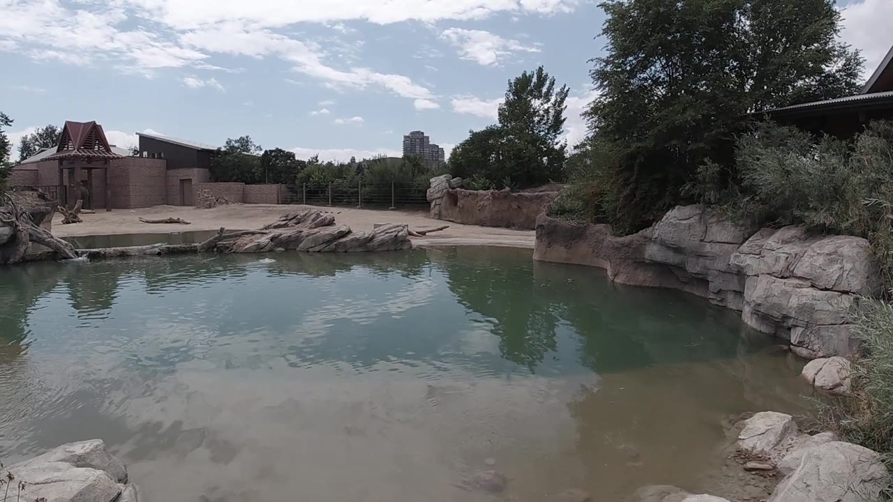 A steady Denver backyard pond frame shows ripples moving across turquoise water, pale rocks on both sides, trees behind the fence, and no visible people.
