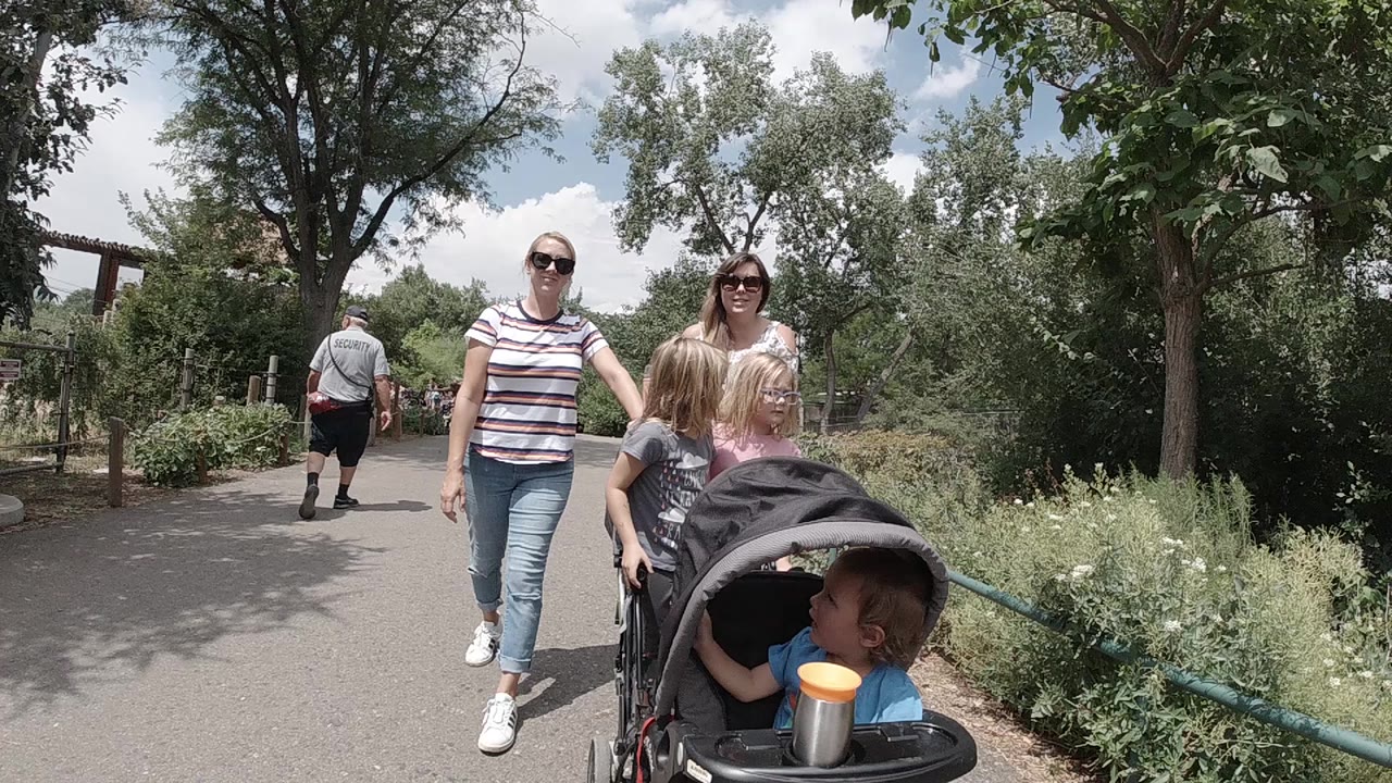 Two women and children walk toward camera with a stroller on a park path.