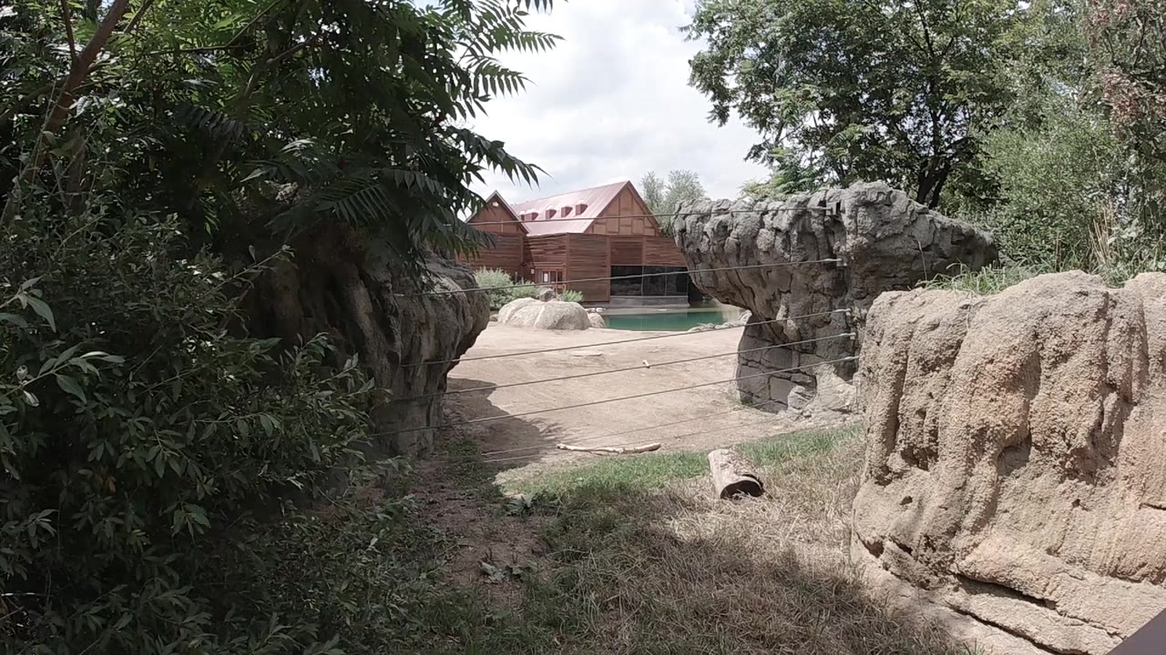 Early frame of the Colorado zoo setting, with tan rock formations flanking the walkway, leafy trees overhead, a reddish wooden animal house beyond, and no visible people.
