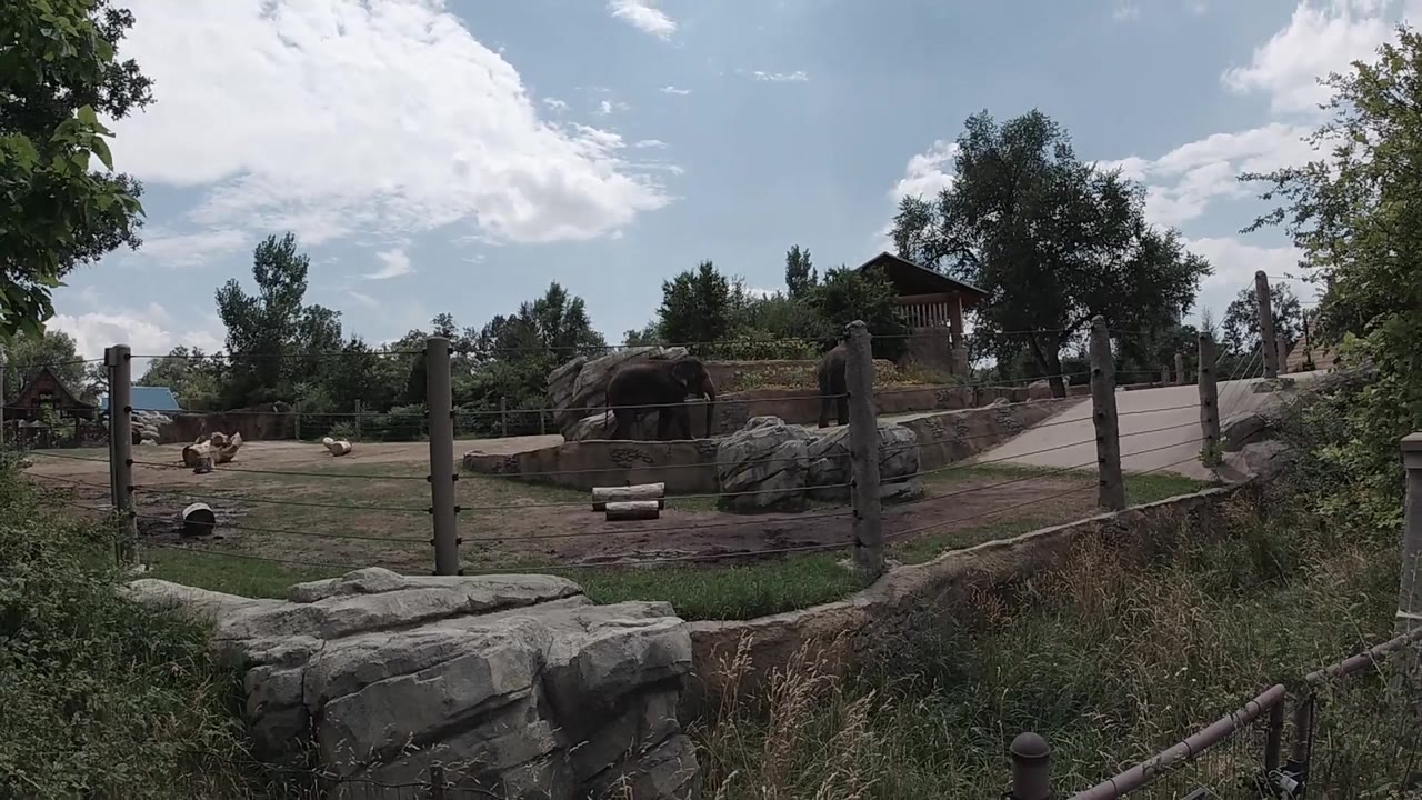 At three seconds, the Colorado zoo enclosure shows elephants left of center, fence posts crossing the view, boulders in the foreground, a walkway on the right, and no visible people.