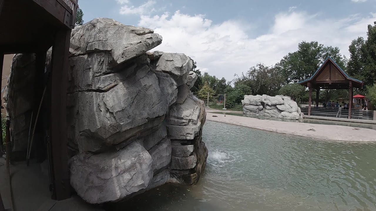 The artificial rock face sits in the foreground beside rippled green water, with a low rock feature, pavilion roof, trees, and bright clouds across the Colorado zoo background, and no visible people.