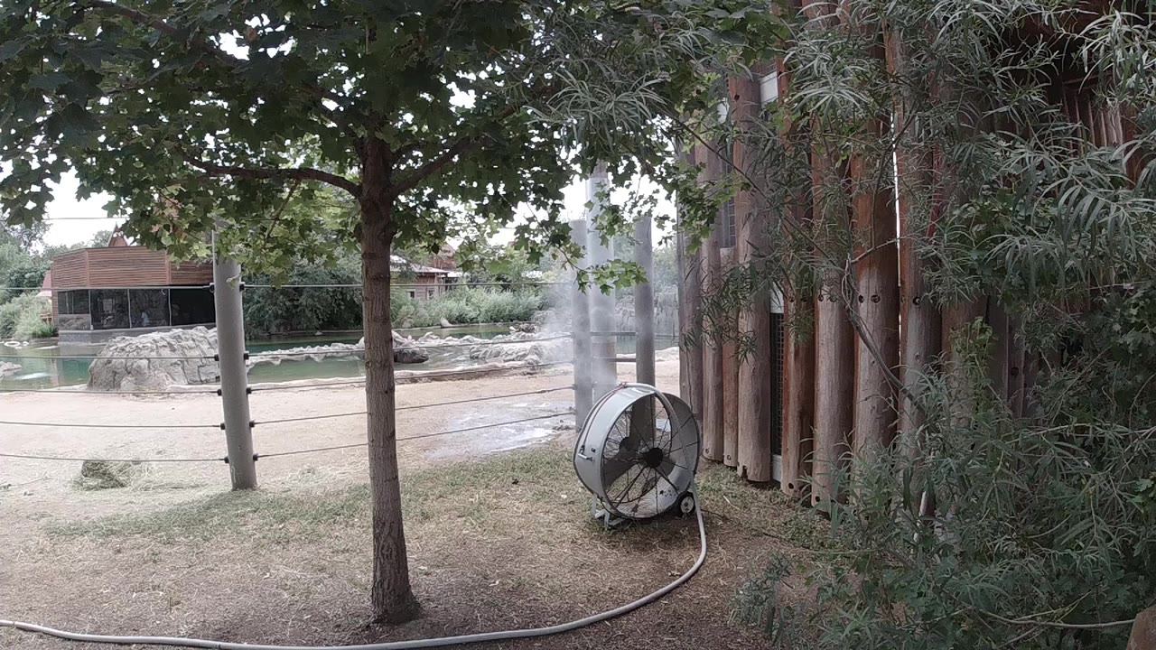 Outdoor circular fan beside bamboo fence and tree
