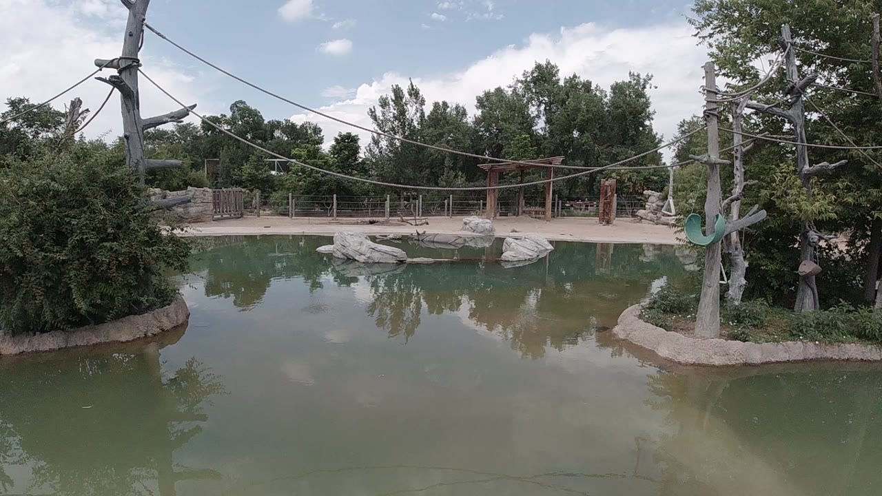 Wide still pond at a Denver outdoor attraction with greenish reflective water, forested banks, a wooden bridge structure in the background right, rope course cables at the upper frame edge, and no visible people