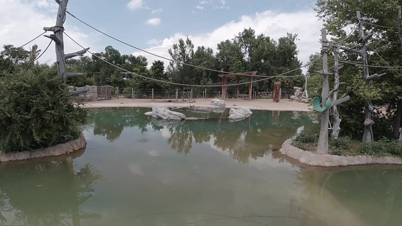 Still greenish pond at a Denver outdoor attraction with forested banks and partly cloudy sky reflected in the water, rope course cables visible at the upper edge, and no visible people
