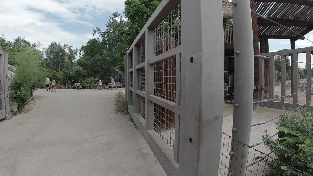 Concrete walkway beside a tall fenced enclosure and trees.