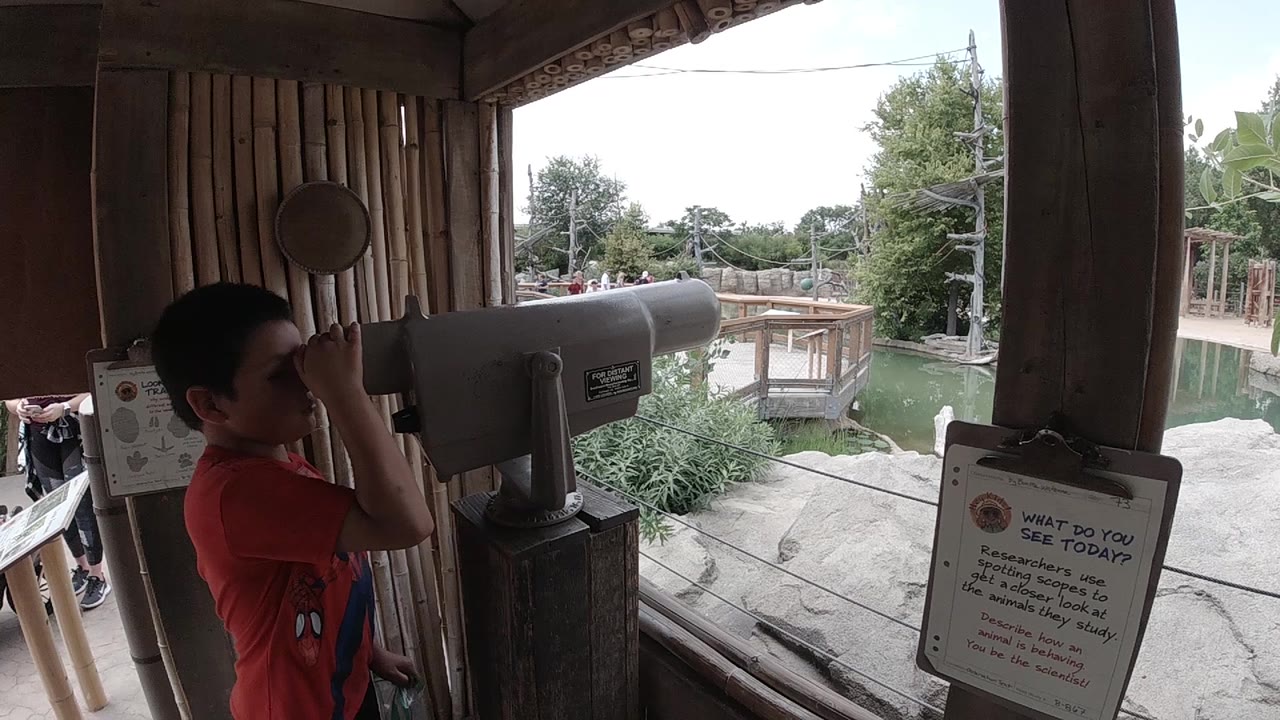 Boy keeps his eye to the mounted telescope beside zoo signs.