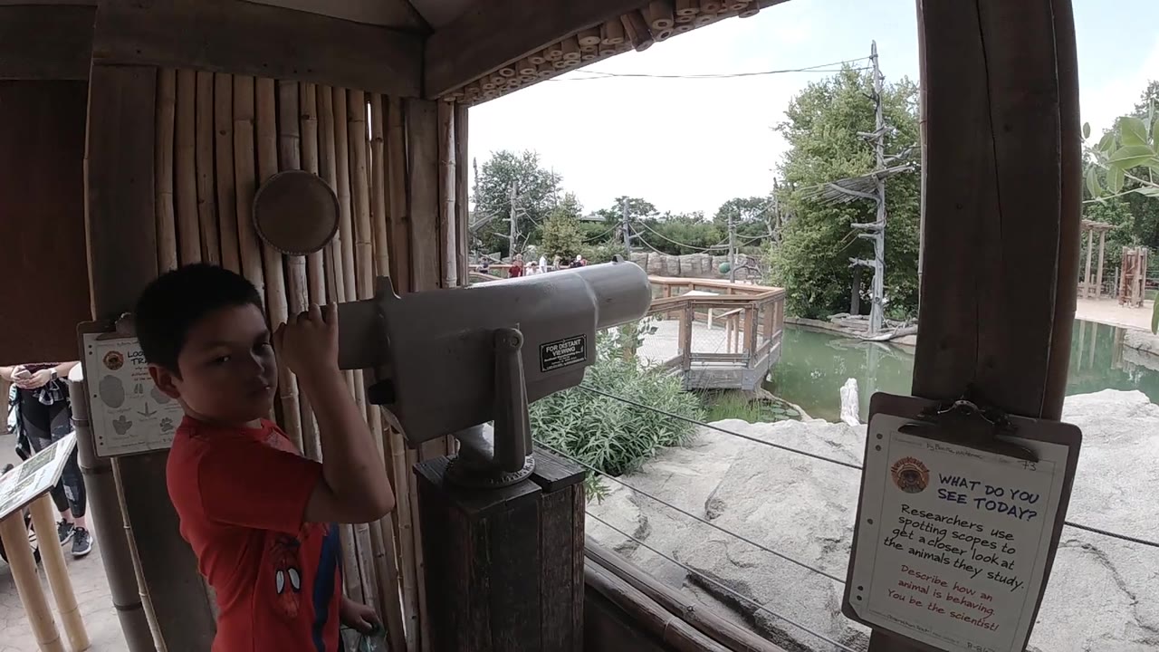 The boy turns slightly from the gray viewing telescope and looks toward the camera, with the pond, trees, and railings still visible through the shelter opening.