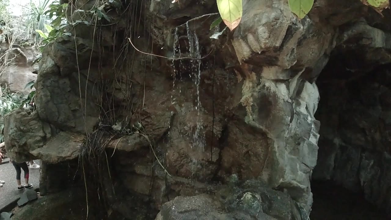 A close view shows the fountain water beginning to run over gray and brown rock, with thin roots crossing the frame in filtered daylight.