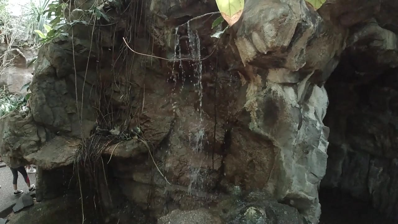 Rock formation with trickling water and dark cave-like opening.