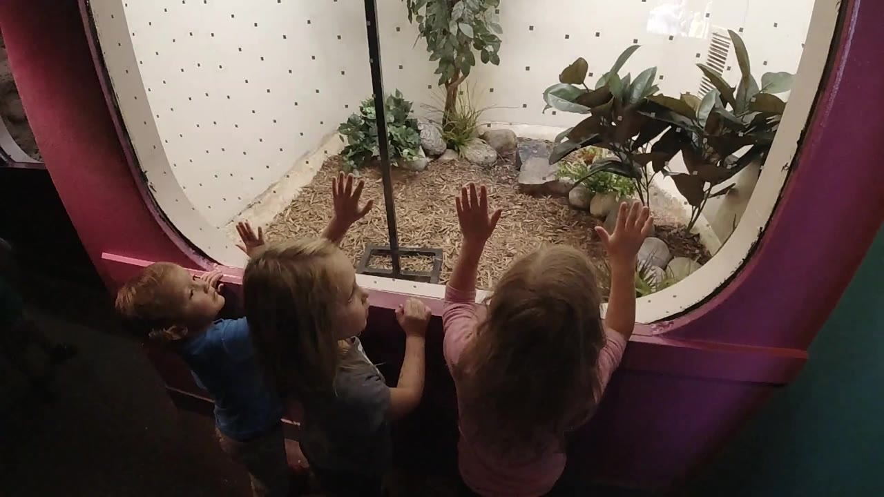 Three children look into an indoor zoo enclosure.