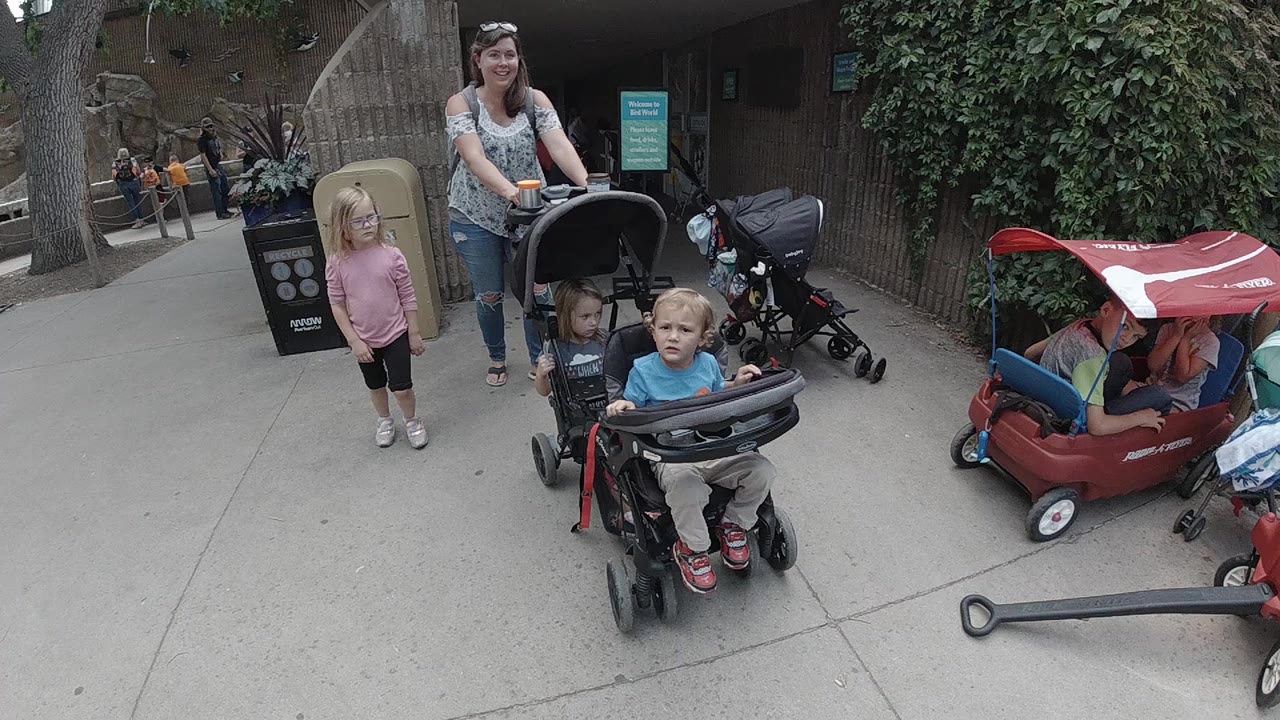 At the start of the Colorado zoo clip, a woman pushes two children in a stroller while a blonde girl walks nearby, with red wagons and a shaded entrance behind them.