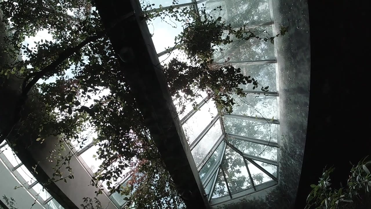 A shadowed canopy of leaves frames the bright glass roof and interior supports inside the Colorado butterfly sanctuary, with no visible people.