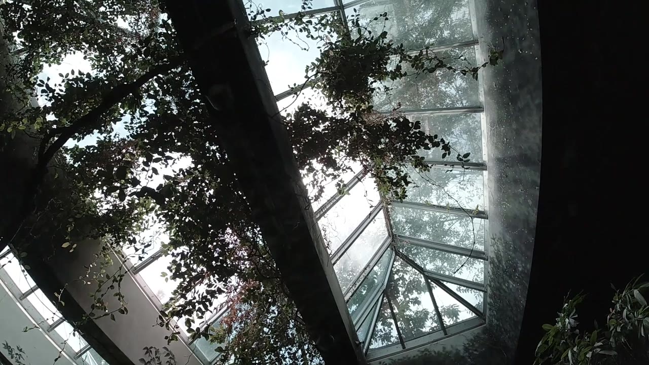 Curved beam and greenhouse-style ceiling