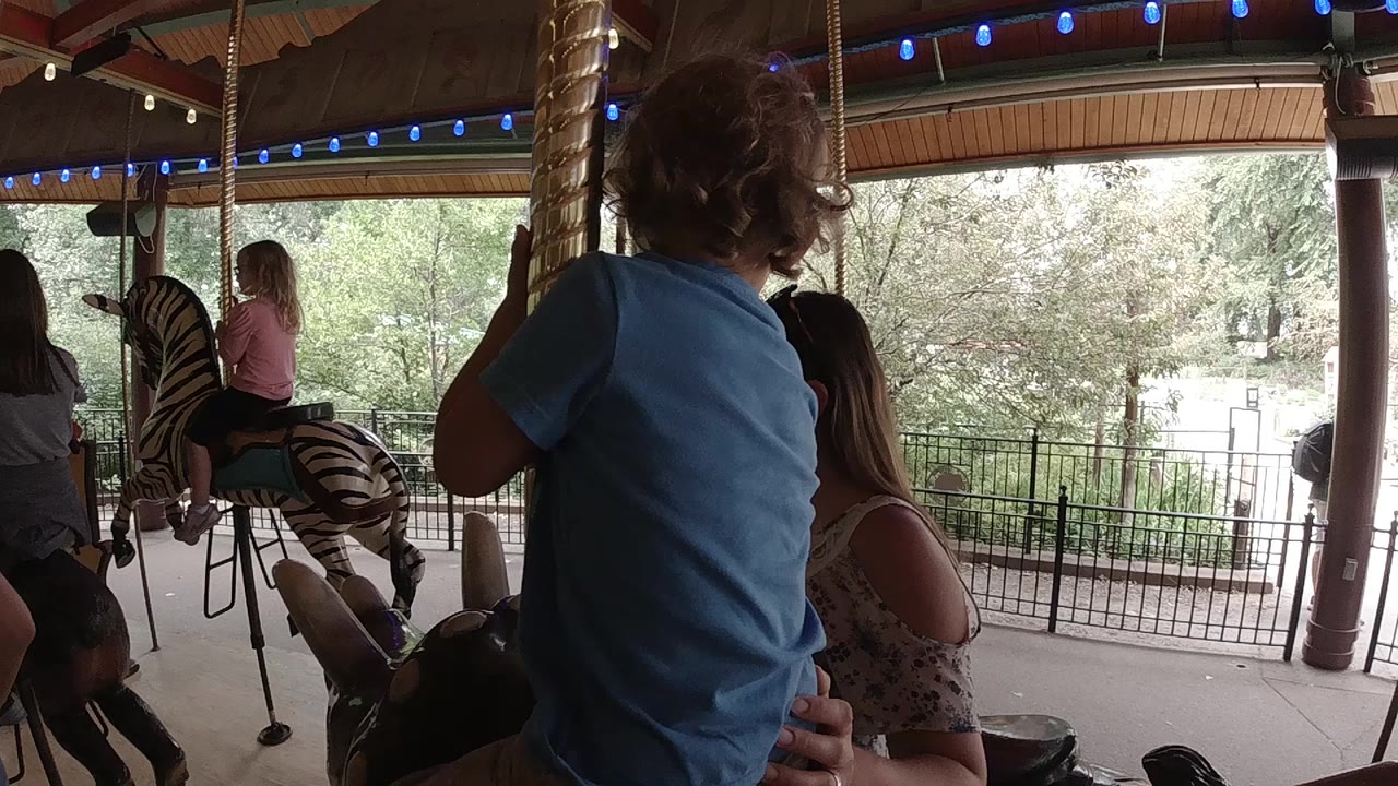 Boy in blue shirt beside carousel pole with riders nearby.