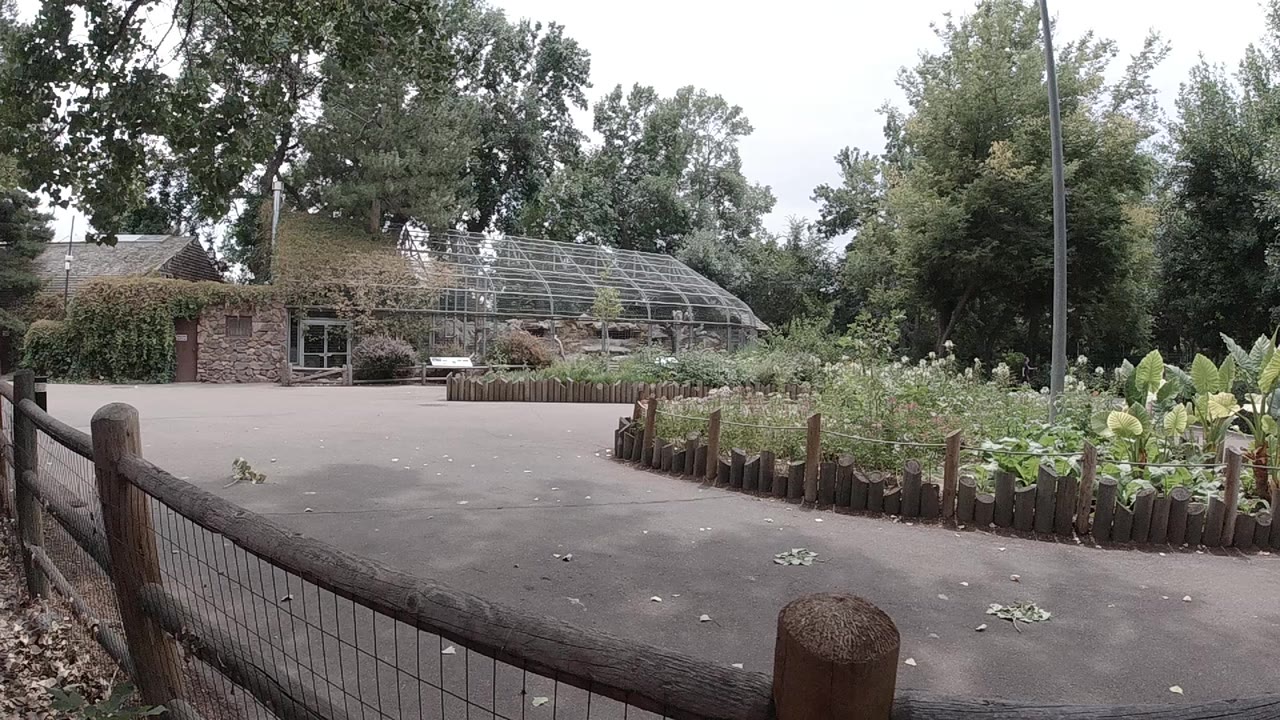 Garden path with fence, planted bed, brick building, and greenhouse frame