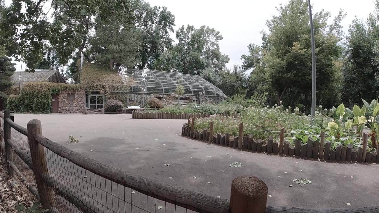 The Denver garden remains framed from the roadside, with a foreground fence post, broad pavement, leafy planting bed, brick wall, greenhouse frame, and no visible people.