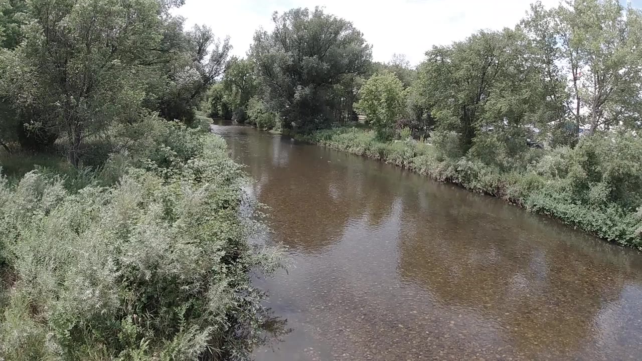 Opening frame of a muddy Colorado river bordered by dense green shrubs and tall trees under pale daylight, with no visible people.