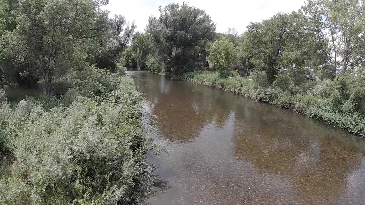 The muddy stream remains centered between green shrubs and mature trees in Colorado, with no visible people or structures.