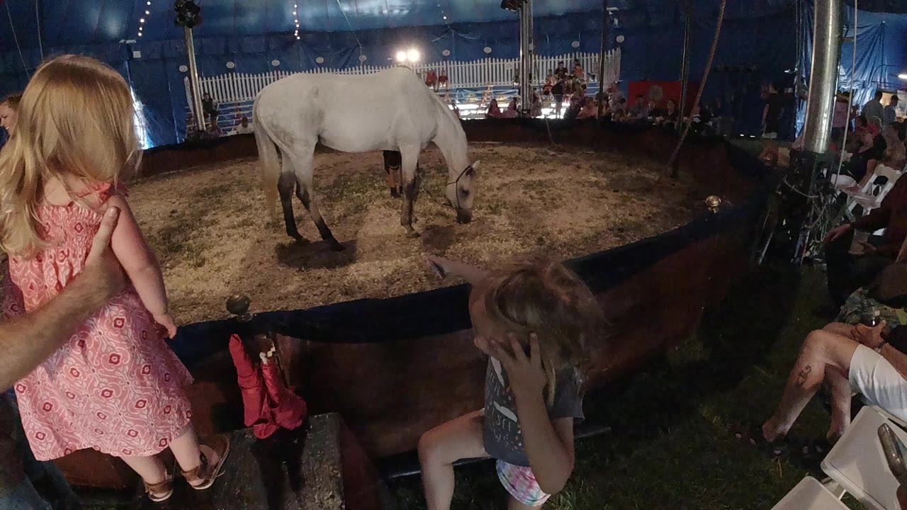 At a Colorado United States circus-style ring, two young girls stand near a low barrier while a white horse faces away on sandy footing.