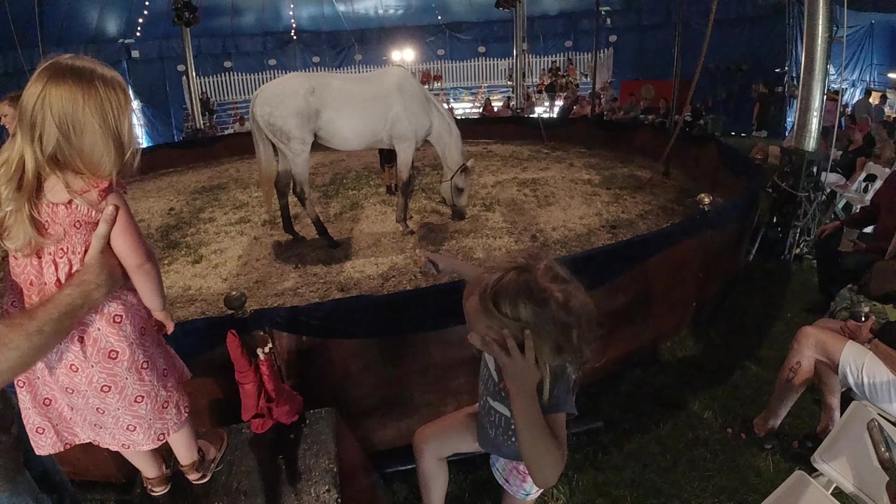 Blonde girl in pink stands near the barrier as a white horse remains in the ring.