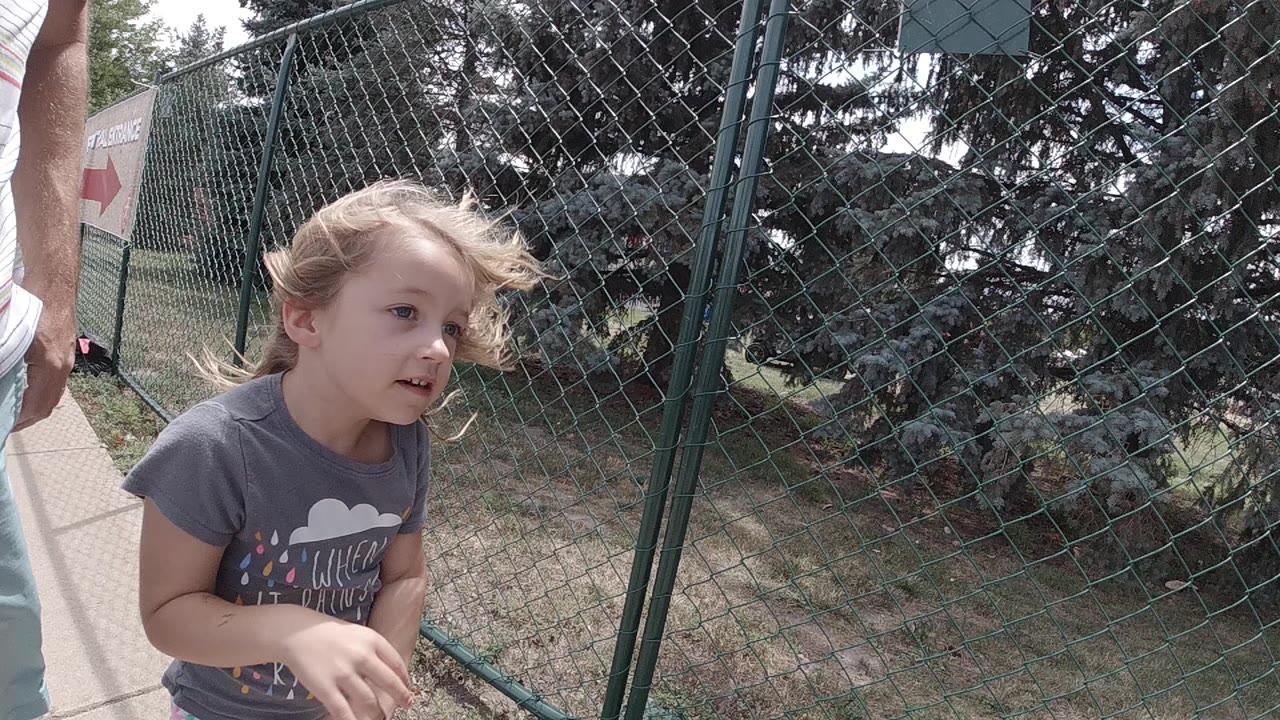 A young blonde girl stands close to camera beside a green chain-link fence in Colorado, with evergreen trees and grass behind her.