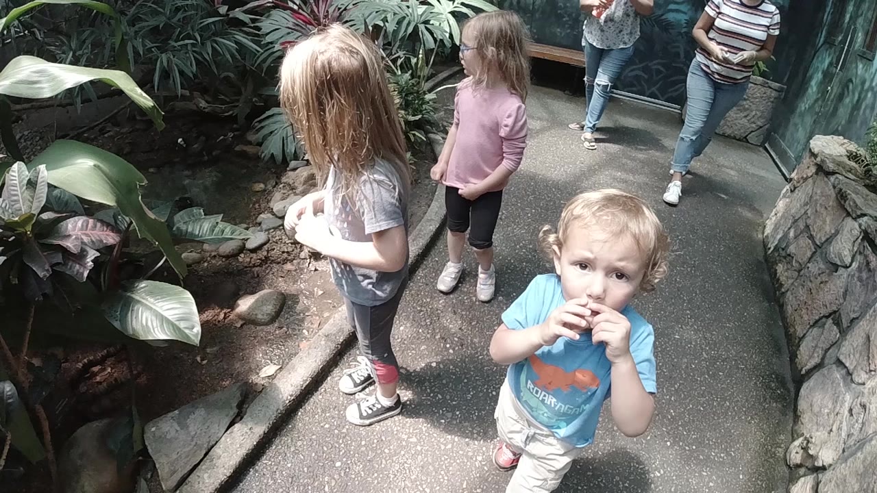 Boy faces the camera while girls stand near plants on a walkway.