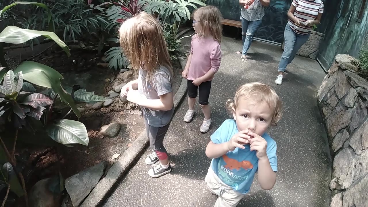 In Colorado, three children are visible on a shaded path, with the boy looking toward camera and two girls positioned near dense greenery and a stone wall.