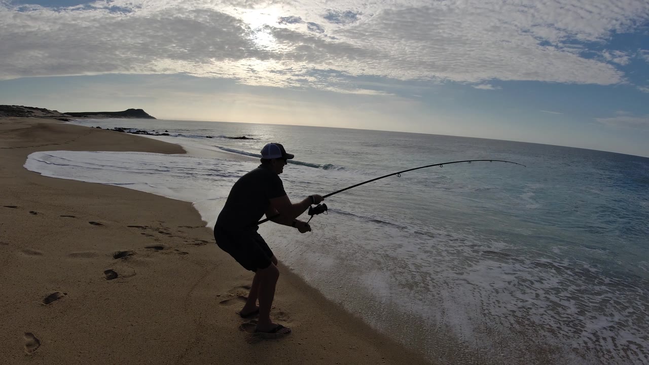 The fisherman remains near the wet sand in Los Cabos, bracing his stance as the rod stretches toward the blue water and foam line.