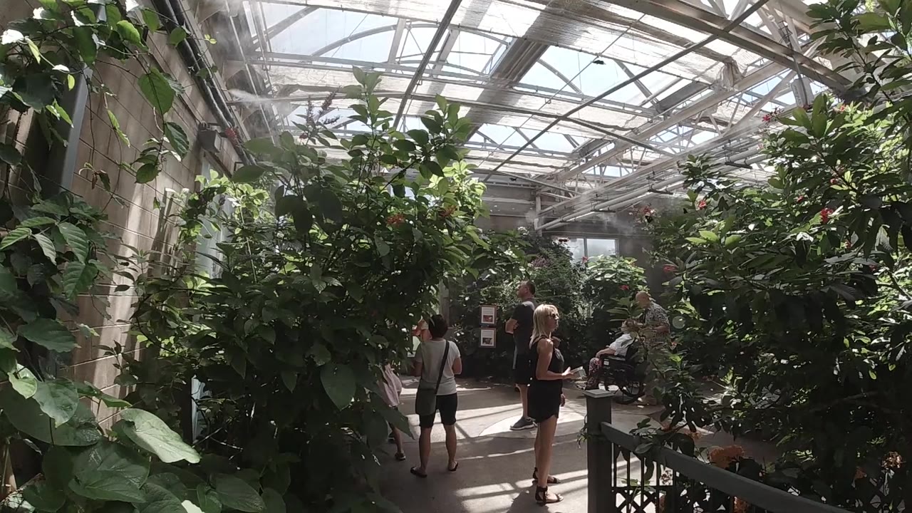 A blonde woman and other visitors stand on the greenhouse walkway, framed by tall foliage and overhead metal roof beams in Colorado.