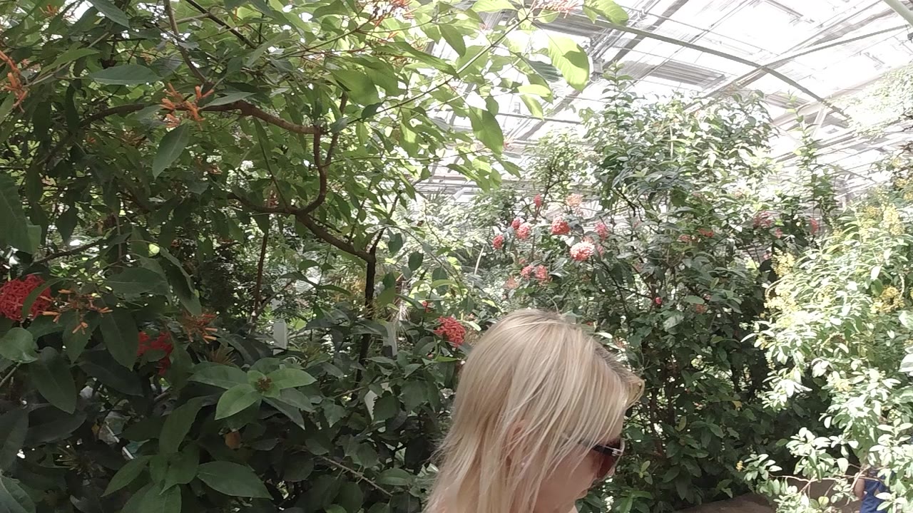 The woman stays partly cropped at the bottom while layered green foliage and pink blossoms fill the Colorado greenhouse background.