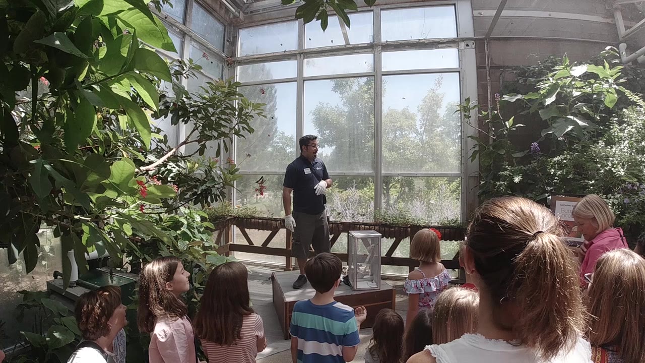 The presenter remains near the center of the Colorado sanctuary as children watch from the foreground and broad leaves frame the left side.