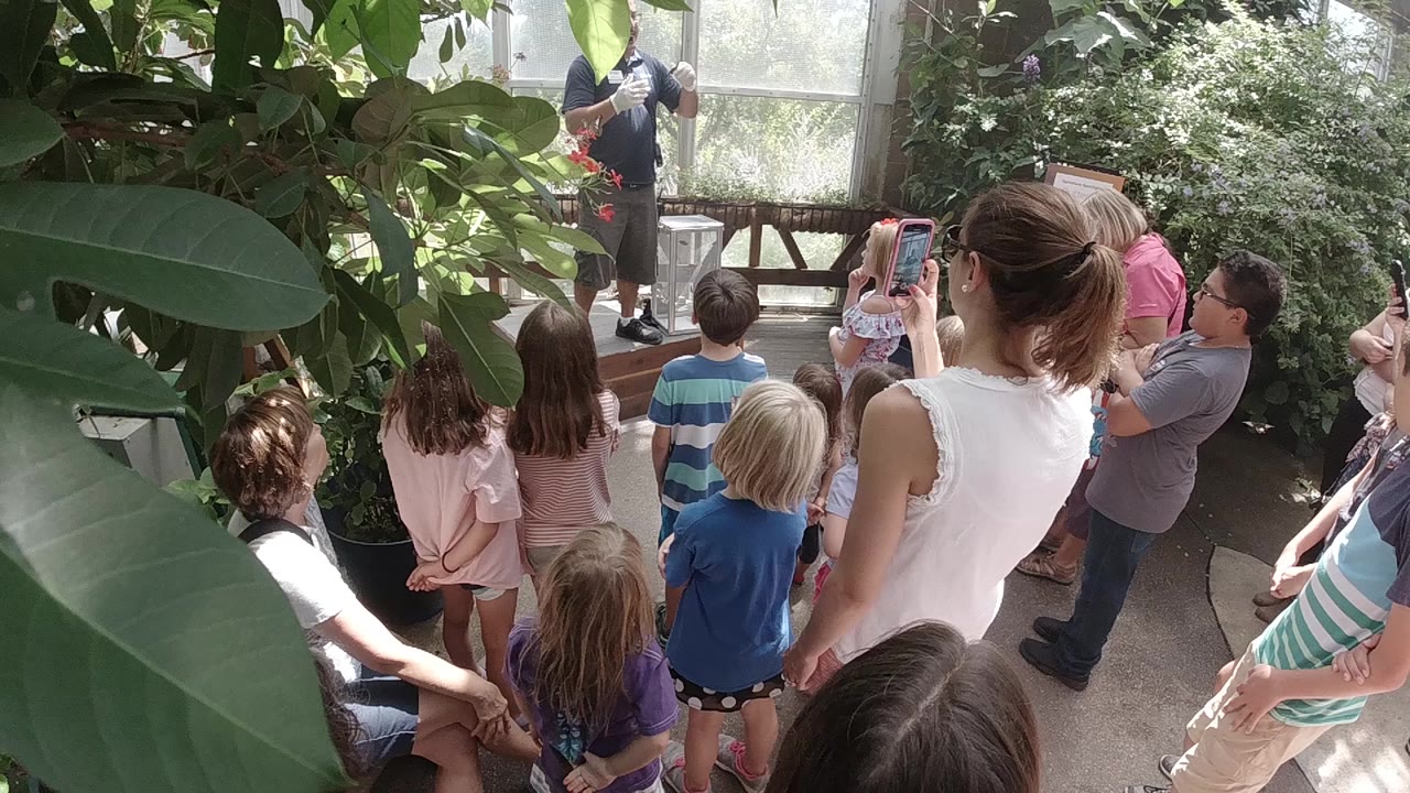 At the start of the Colorado clip, adults and children face a speaker near bright windows while broad green leaves fill the left foreground.