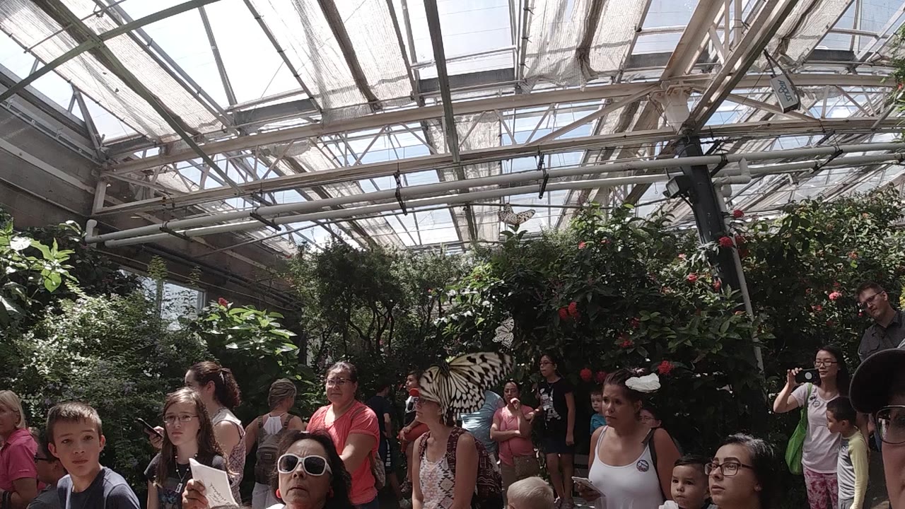 A group of visitors looks around the planted enclosure as the glass ceiling and metal roof framing dominate the upper part of the Colorado sanctuary frame.