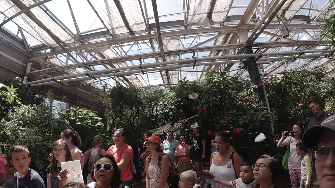 People standing in a planted butterfly enclosure.