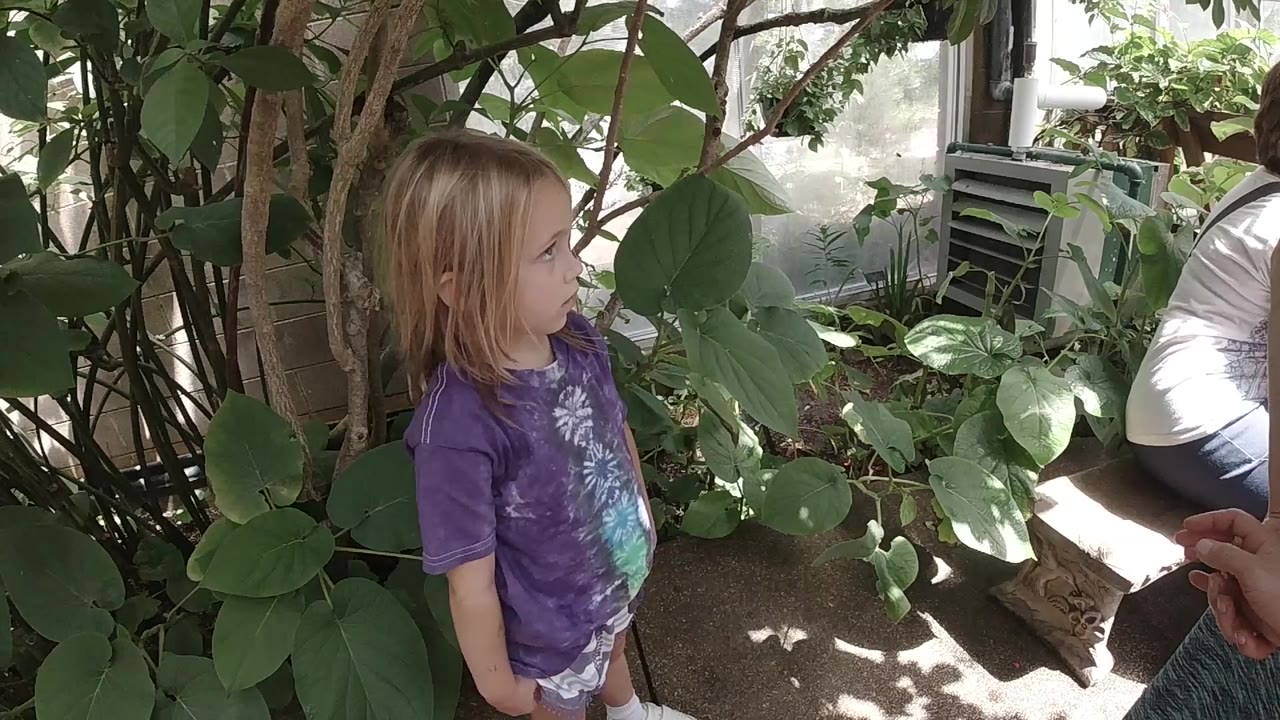 Young blonde girl standing beside large green leaves.