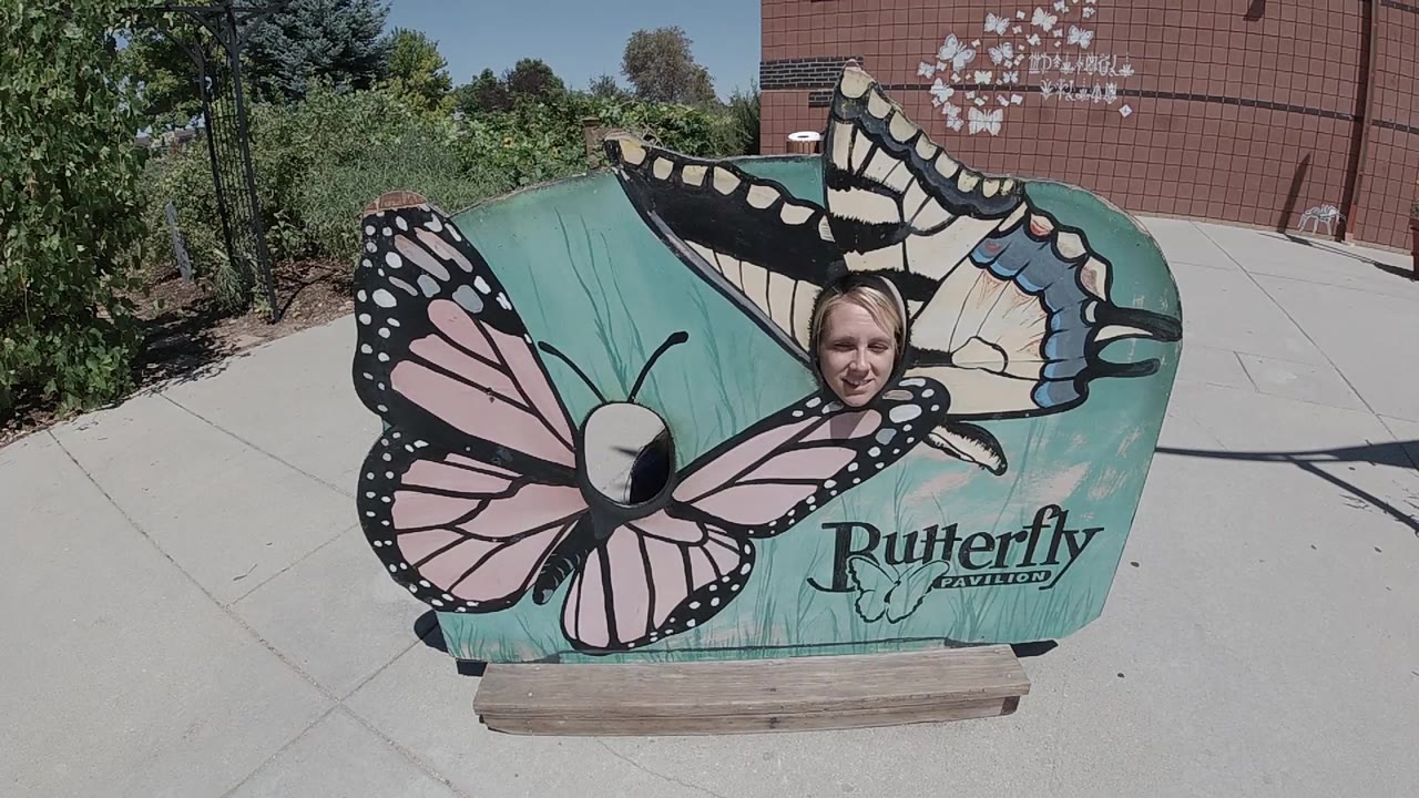 At the opening moment, a visible face is centered behind a teal butterfly photo display with pink and cream wings, with shrubs and a brick wall behind it.