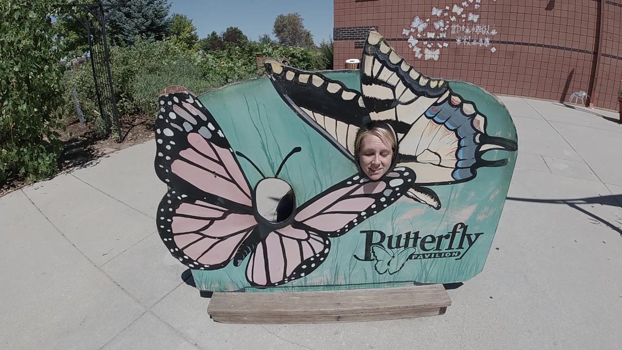 Person peeking through a large painted butterfly sign outdoors.