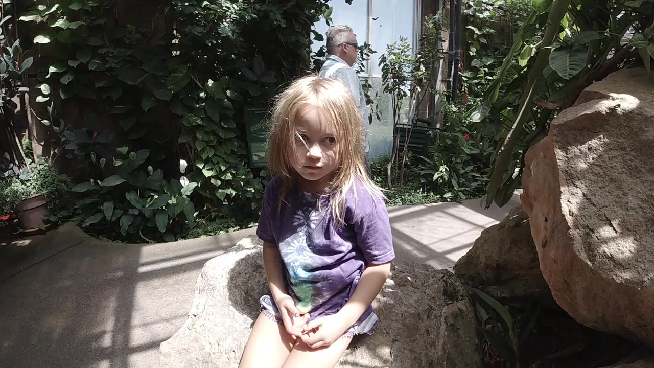 Blonde child sitting on a rock in a leafy enclosure