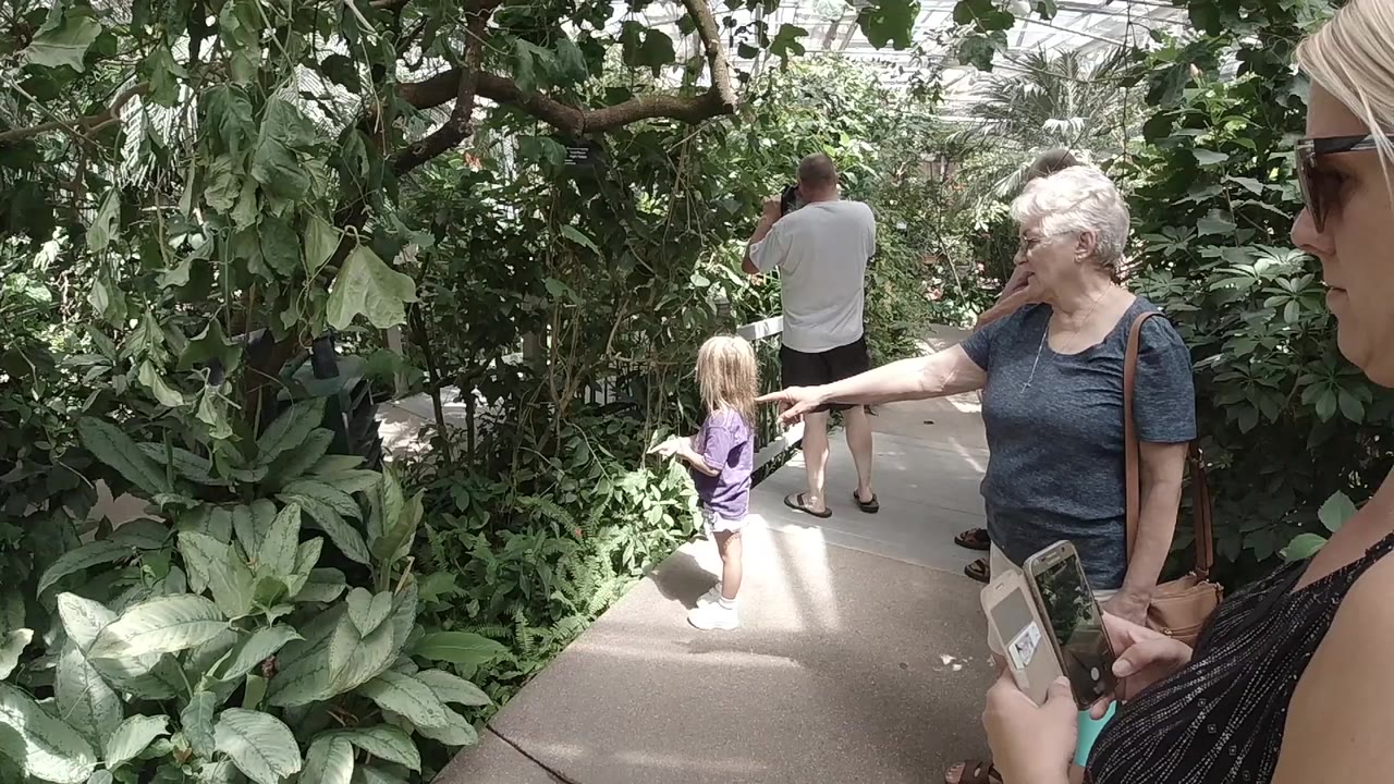 In Colorado, a child and adults stand on a narrow path surrounded by broad green leaves as an older woman points toward the plants.